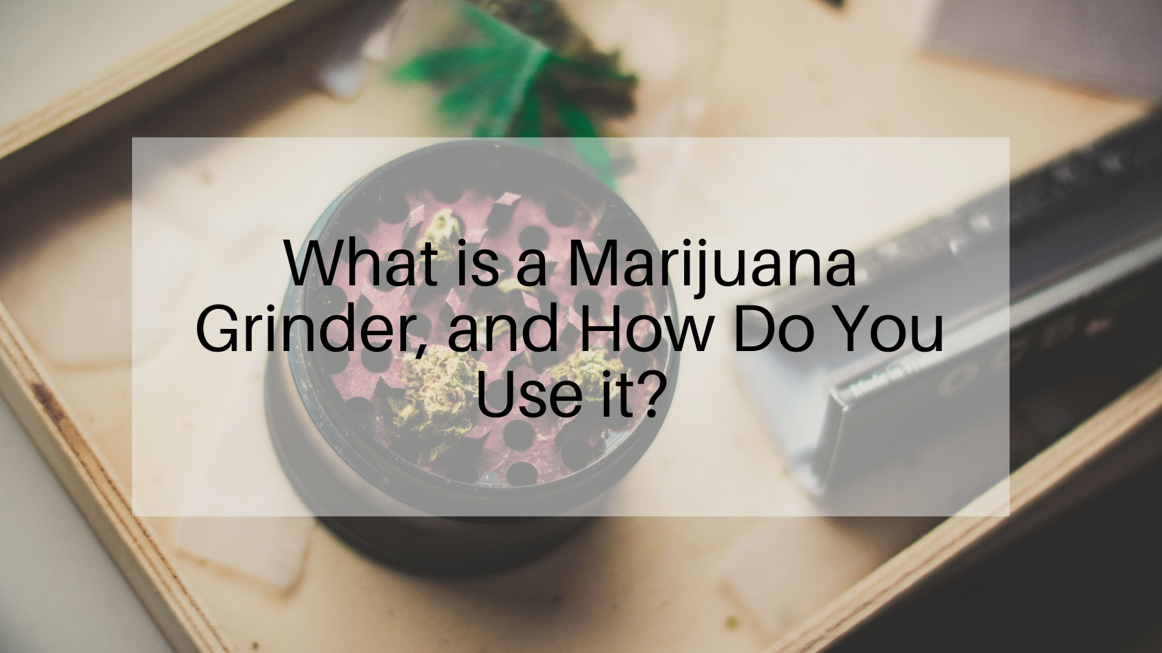 What is a Marijuana Grinder, and How Do You Use it?